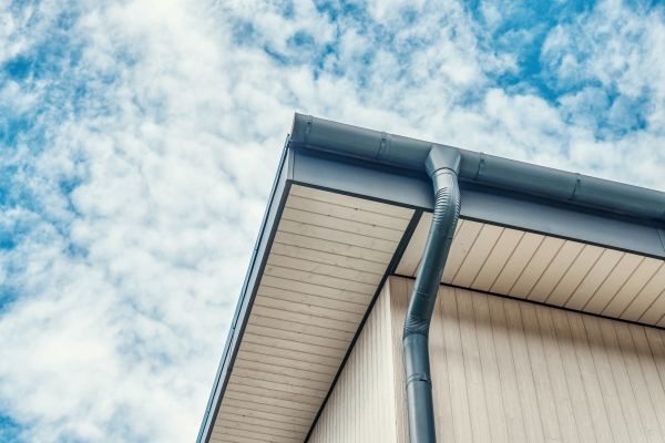 Gutter Fascia Repair in Powell