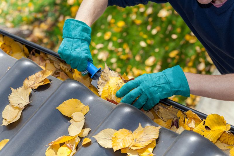 Fall Gutter Clearing